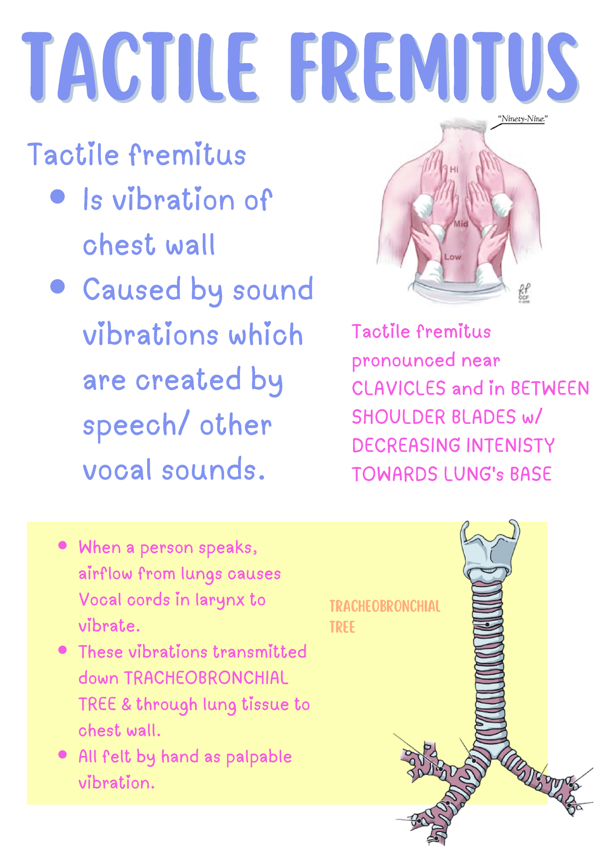 Tactile Fremitus E Phlebotomy Training if-the-price-of-an-article-is-increased-by-25-the-increase-is-rs-10